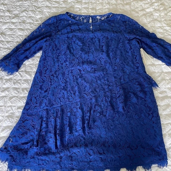 Eliza J cobolt blue lace layered mini dress - Picture 3 of 11